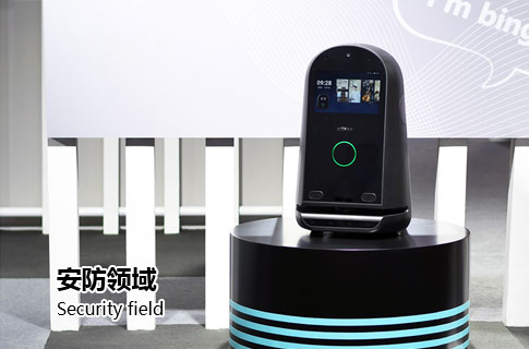 安防领域